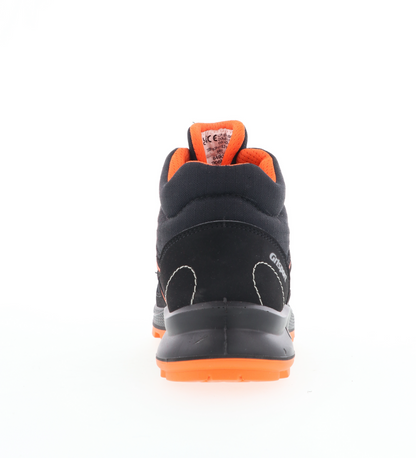 Petersberg S3 HRO HI SRC